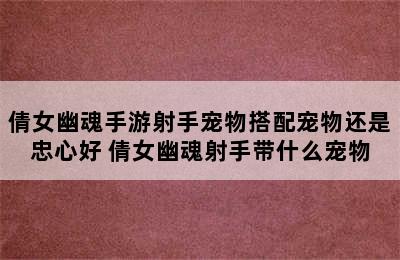 倩女幽魂手游射手宠物搭配宠物还是忠心好 倩女幽魂射手带什么宠物